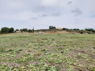 Οικόπεδο 7.421 τ.μ. για πώληση, Ν. Κέρκυρας, Κέρκυρα-thumb-6