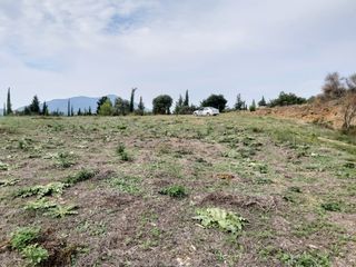 Οικόπεδο 7.421 τ.μ. για πώληση, Ν. Κέρκυρας, Κέρκυρα-thumb-8