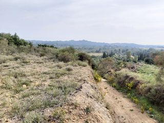 Οικόπεδο 7.421 τ.μ. για πώληση, Ν. Κέρκυρας, Κέρκυρα-thumb-10