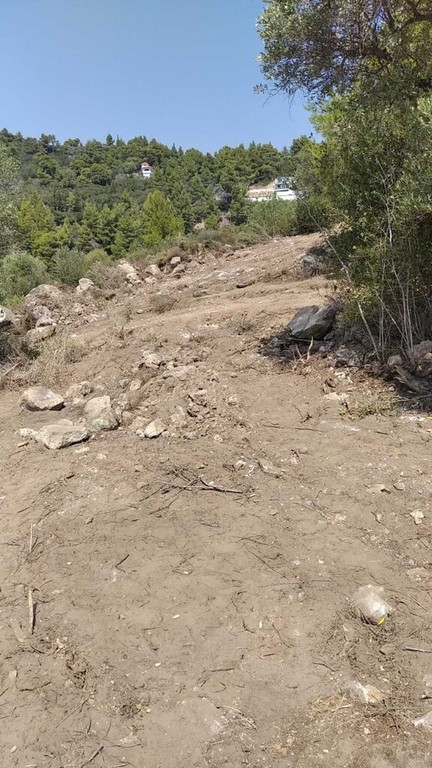 Οικόπεδο 11.688 τ.μ. προς πώληση, Σάρτη