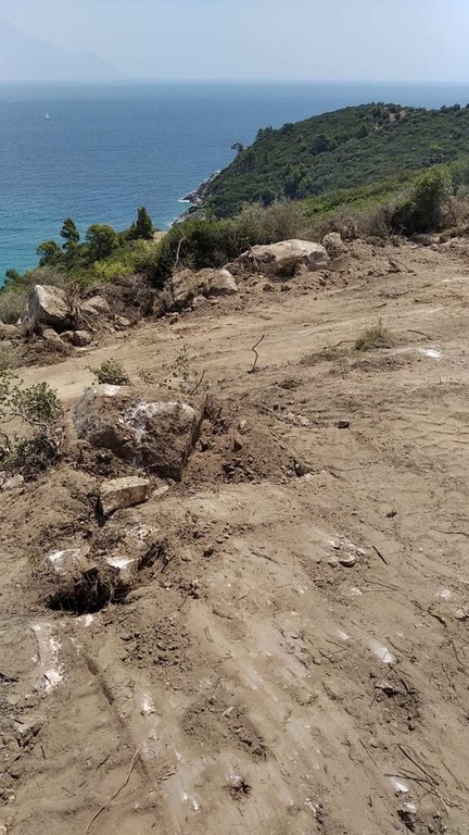 Οικόπεδο 11.688 τ.μ. προς πώληση, Σάρτη