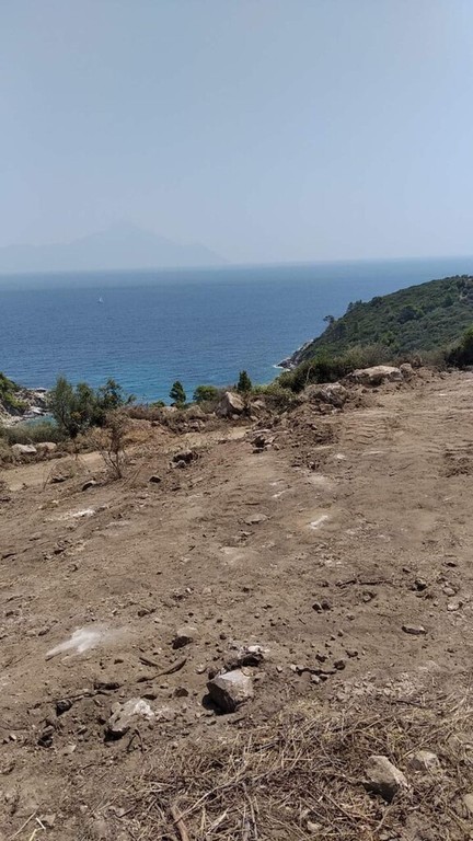 Οικόπεδο 11.688 τ.μ. προς πώληση, Σάρτη