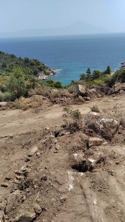 Οικόπεδο 11.688 τ.μ. προς πώληση, Σάρτη
