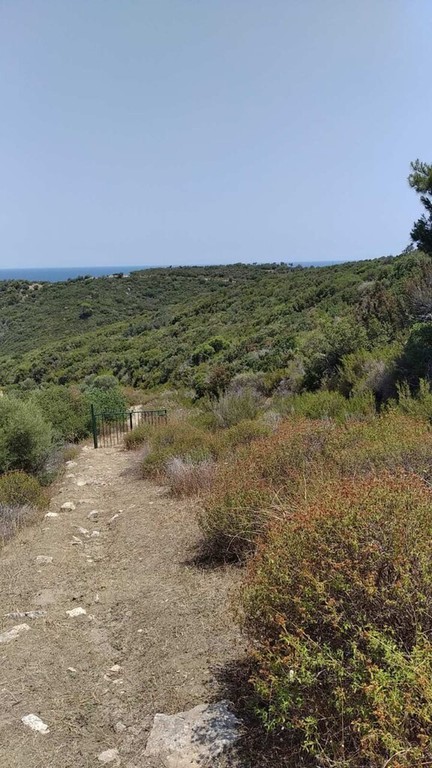 Οικόπεδο 11.688 τ.μ. προς πώληση, Σάρτη