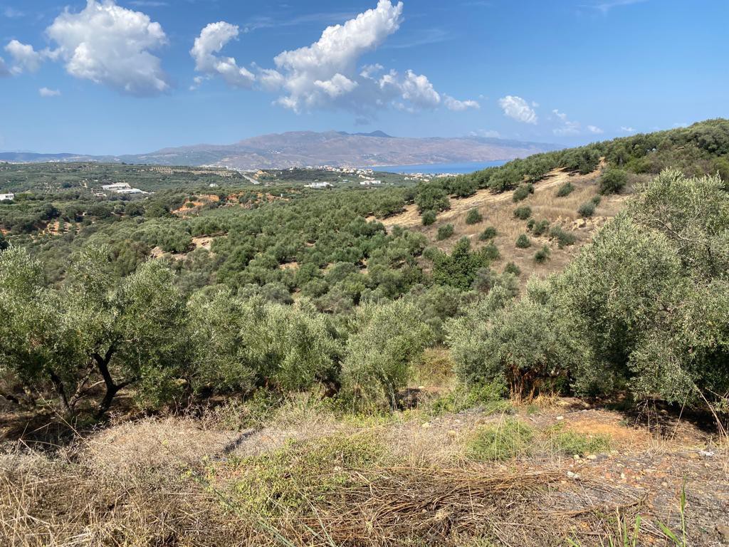 Οικόπεδο 3.732 τ.μ. προς πώληση, Βλαχερωνίτισσα