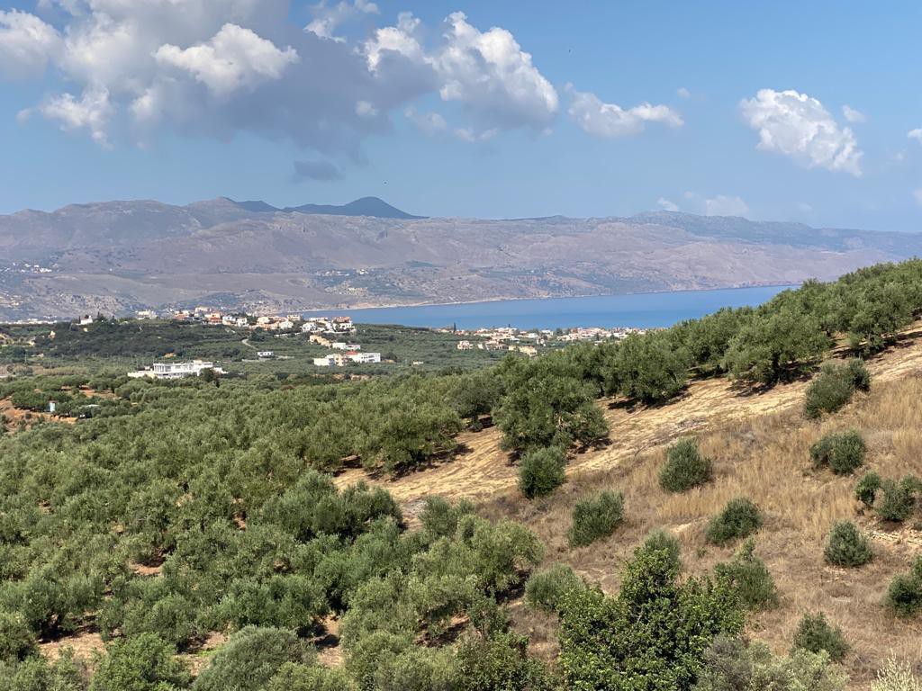Οικόπεδο 3.732 τ.μ. προς πώληση, Βλαχερωνίτισσα