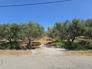 Οικόπεδο 3.700 τ.μ. για πώληση, Ν. Λασιθίου, Βραχάσι-thumb-2