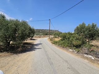 Οικόπεδο 3.700 τ.μ. για πώληση