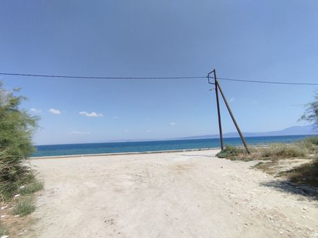 Οικόπεδο 5.500 τ.μ. για πώληση