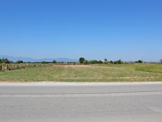 Οικόπεδο 4.800 τ.μ. για πώληση
