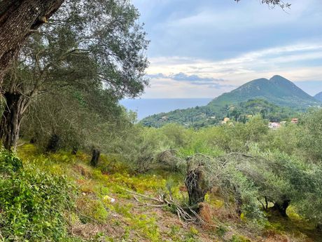Land plot 1.202sqm for sale-Corfu » Pareli