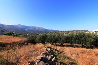 Οικόπεδο 3.000 τ.μ. για πώληση, Ν. Λασιθίου, Βραχάσι-thumb-2