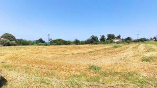Οικόπεδο 5.850 τ.μ. για πώληση