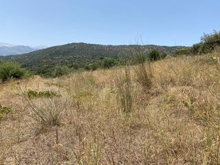 Οικόπεδο 5.335 τ.μ. για πώληση