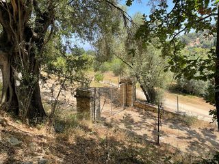 Οικόπεδο 26.159 τ.μ. για πώληση, Ν. Κέρκυρας, Κέρκυρα-thumb-10