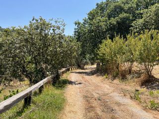 Οικόπεδο 26.159 τ.μ. για πώληση, Ν. Κέρκυρας, Κέρκυρα-thumb-15