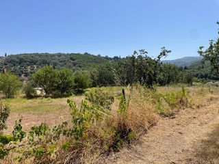 Οικόπεδο 26.159 τ.μ. για πώληση, Ν. Κέρκυρας, Κέρκυρα-thumb-24