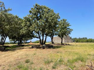 Οικόπεδο 26.159 τ.μ. για πώληση, Ν. Κέρκυρας, Κέρκυρα-thumb-4