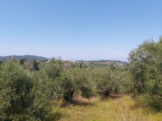 Οικόπεδο 4.800 τ.μ. για πώληση