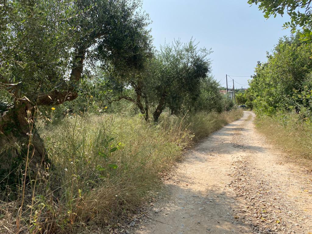 Οικόπεδο 3.092 τ.μ. προς πώληση, Αλμυρίδα Βάμου