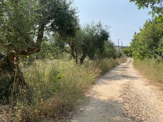 Οικόπεδο 3.092 τ.μ. για πώληση