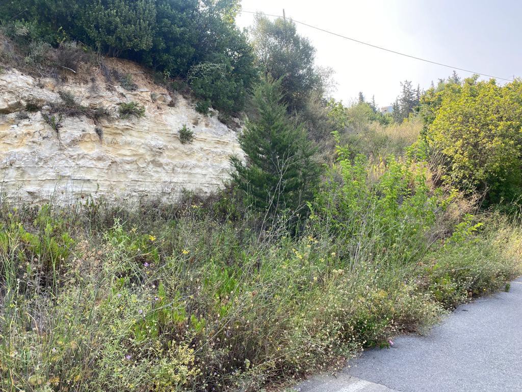 Οικόπεδο 3.215 τ.μ. προς πώληση, Αλμυρίδα Βάμου