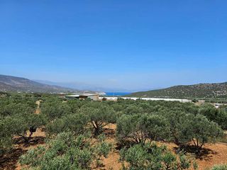 Βίλλα 200 τ.μ. προς πώληση, Ξηρόκαμπος Ιεράπετρας-thumb-14