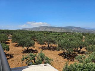 Βίλλα 200 τ.μ. προς πώληση, Ξηρόκαμπος Ιεράπετρας-thumb-16