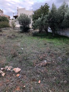Οικόπεδο 800 τ.μ. για πώληση