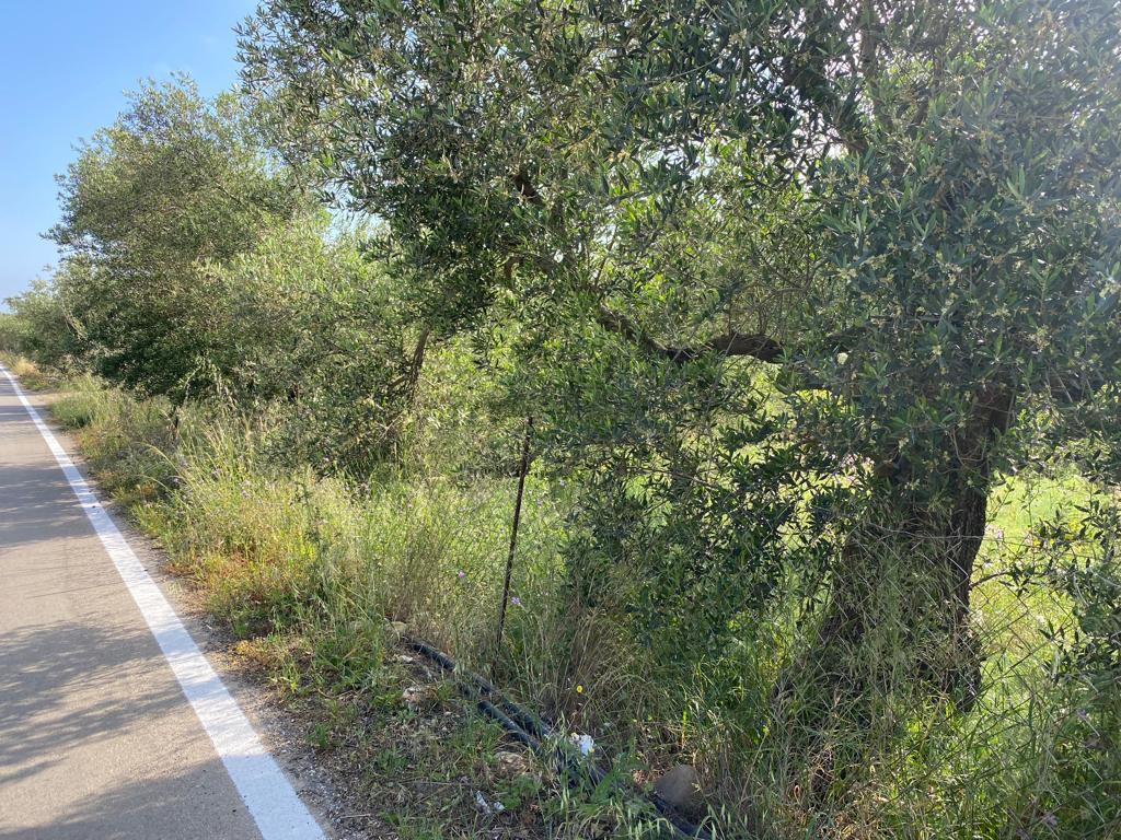 Land plot 2.199 sqm for sale, Vasilopoulo, Kolimvari