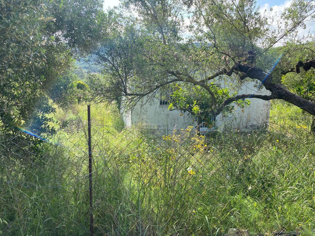 Land plot 2.199 sqm for sale, Vasilopoulo, Kolimvari