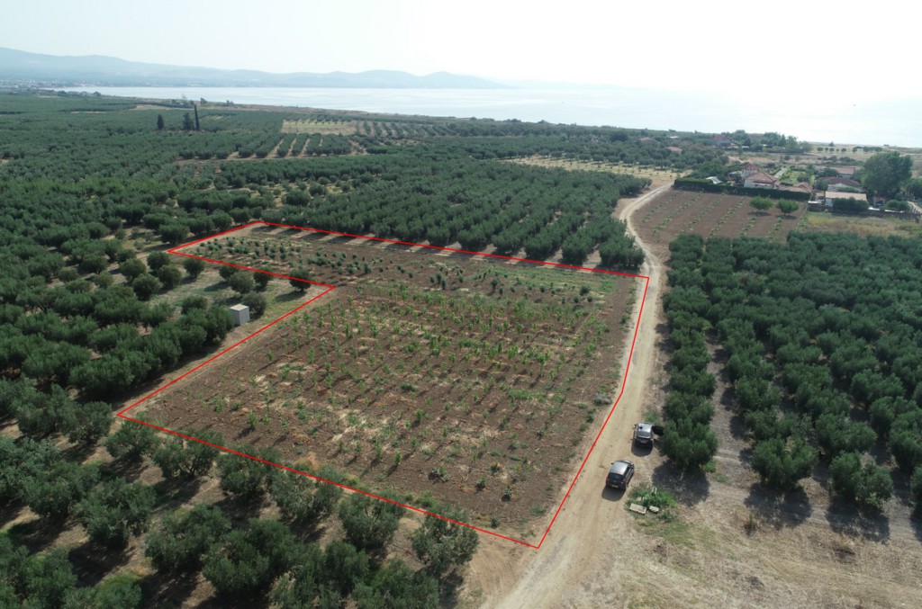 Οικόπεδο 4.811 τ.μ. προς πώληση, Άγιος Μάμας Μουδανιών