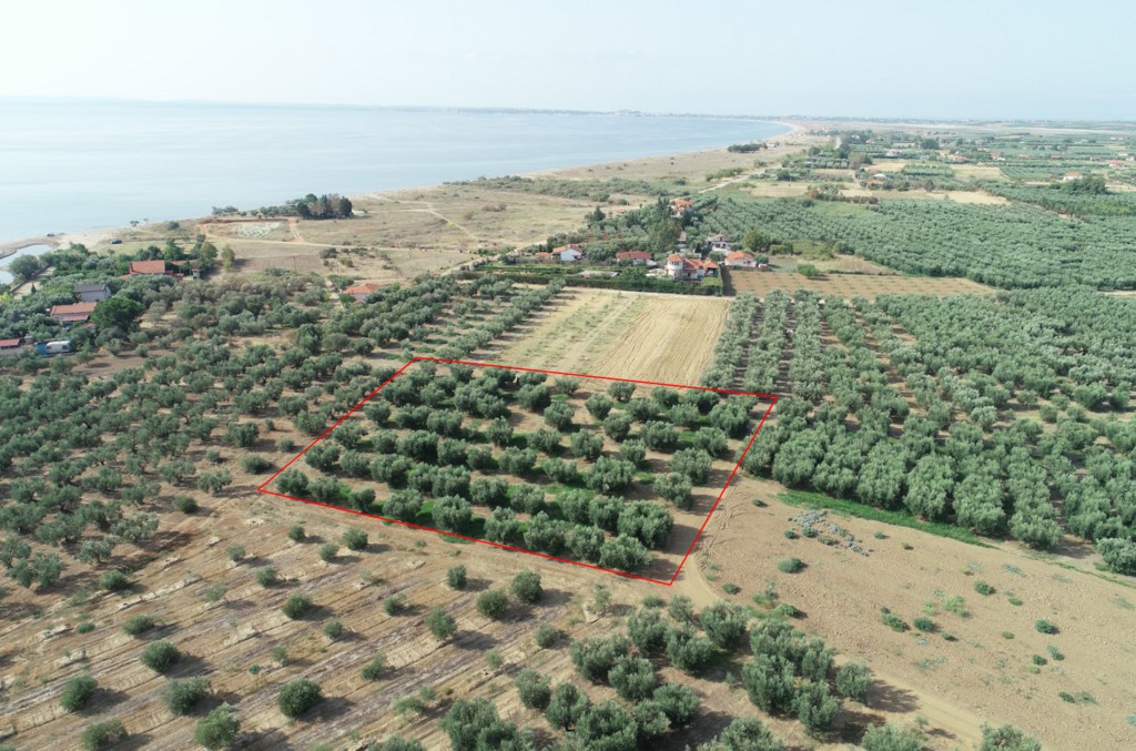 Οικόπεδο 4.010 τ.μ. προς πώληση, Άγιος Μάμας Μουδανιών