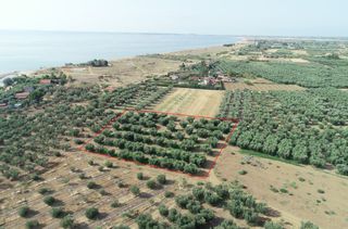 Οικόπεδο 4.010 τ.μ. προς πώληση