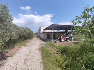 Κτίριο 900 τ.μ. για πώληση