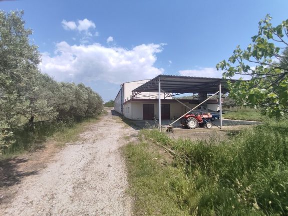 Building 900 sqm for sale, Thessaloniki - Suburbs, Michaniona