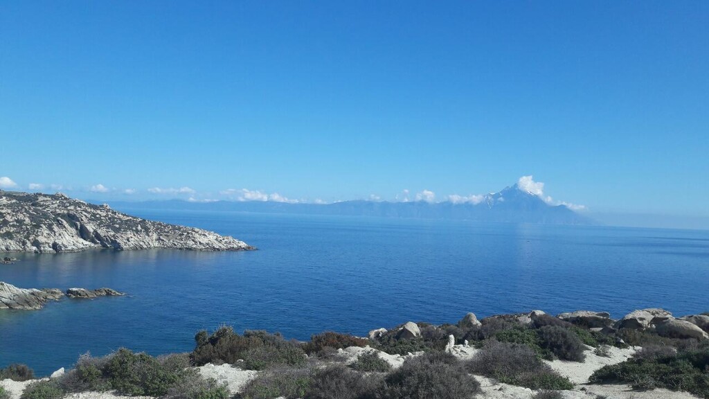 Οικόπεδο 500 τ.μ. προς πώληση, Σκάλα Συκέας