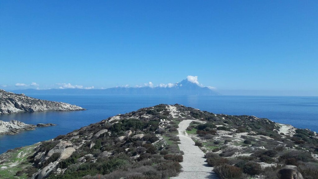 Οικόπεδο 500 τ.μ. προς πώληση, Σκάλα Συκέας