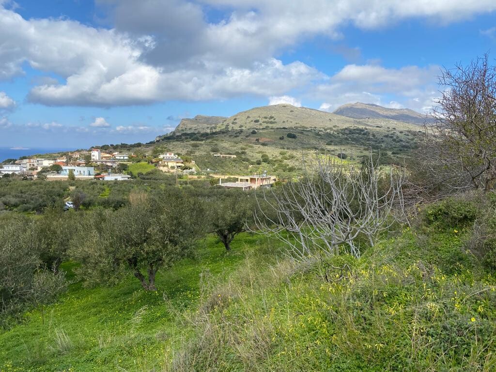 Οικόπεδο 2.140 τ.μ. προς πώληση, Ραβδούχα