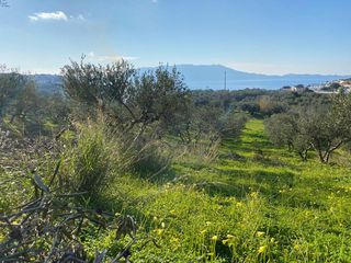 Οικόπεδο 2.140 τ.μ. προς πώληση, Ραβδούχα-thumb-5