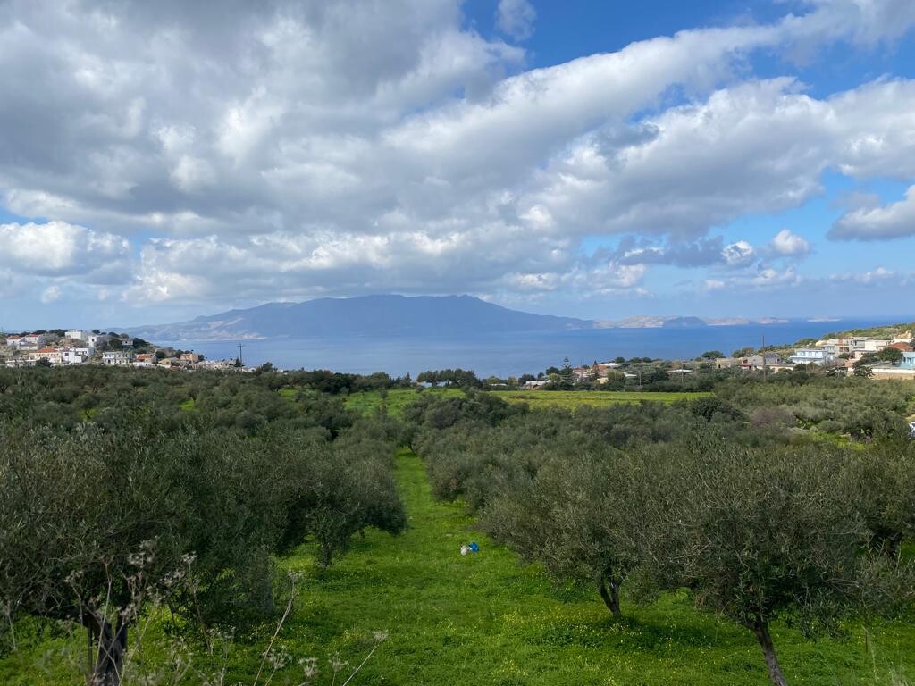 Οικόπεδο 2.140 τ.μ. προς πώληση, Ραβδούχα