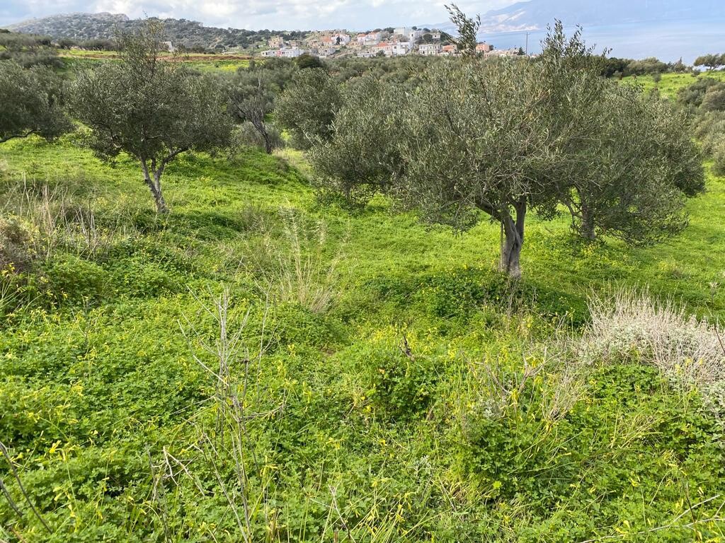 Οικόπεδο 2.140 τ.μ. προς πώληση, Ραβδούχα