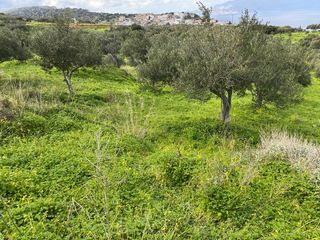 Οικόπεδο 2.140 τ.μ. προς πώληση, Ραβδούχα-thumb-2