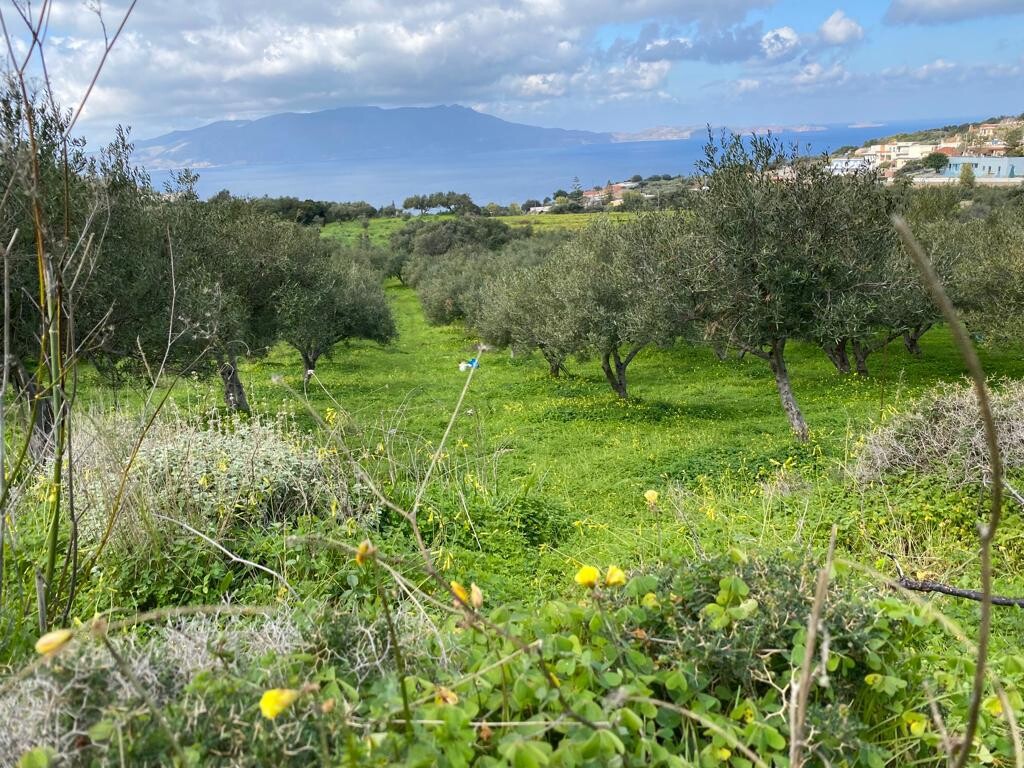 Οικόπεδο 2.140 τ.μ. προς πώληση, Ραβδούχα
