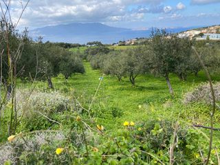 Οικόπεδο 2.140 τ.μ. προς πώληση, Ραβδούχα-thumb-2