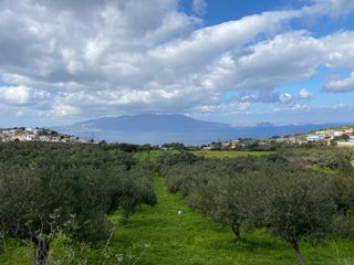 Οικόπεδο 2.140 τ.μ. προς πώληση, Ραβδούχα-thumb-4