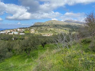 Οικόπεδο 2.140 τ.μ. προς πώληση, Ραβδούχα-thumb-5