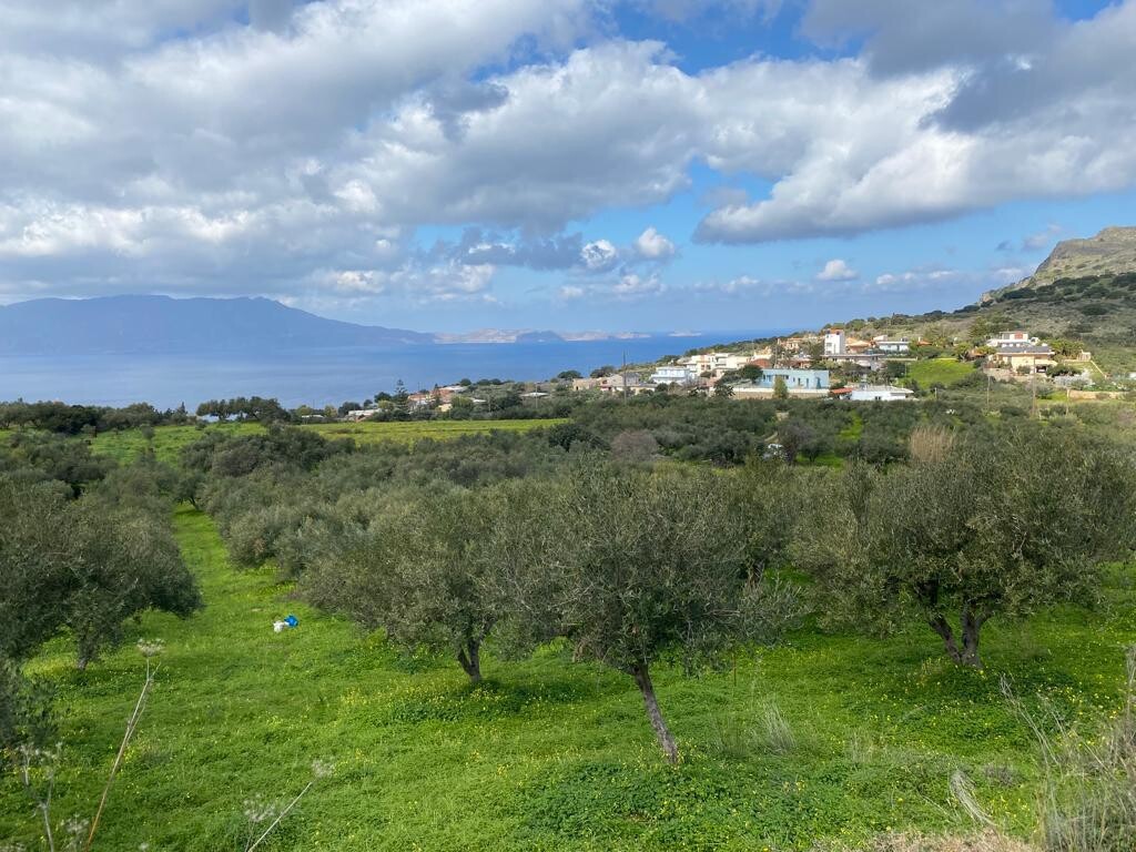 Οικόπεδο 2.140 τ.μ. προς πώληση, Ραβδούχα