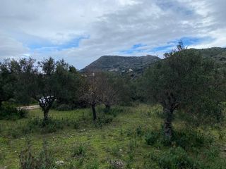Οικόπεδο 4.022 τ.μ. για πώληση