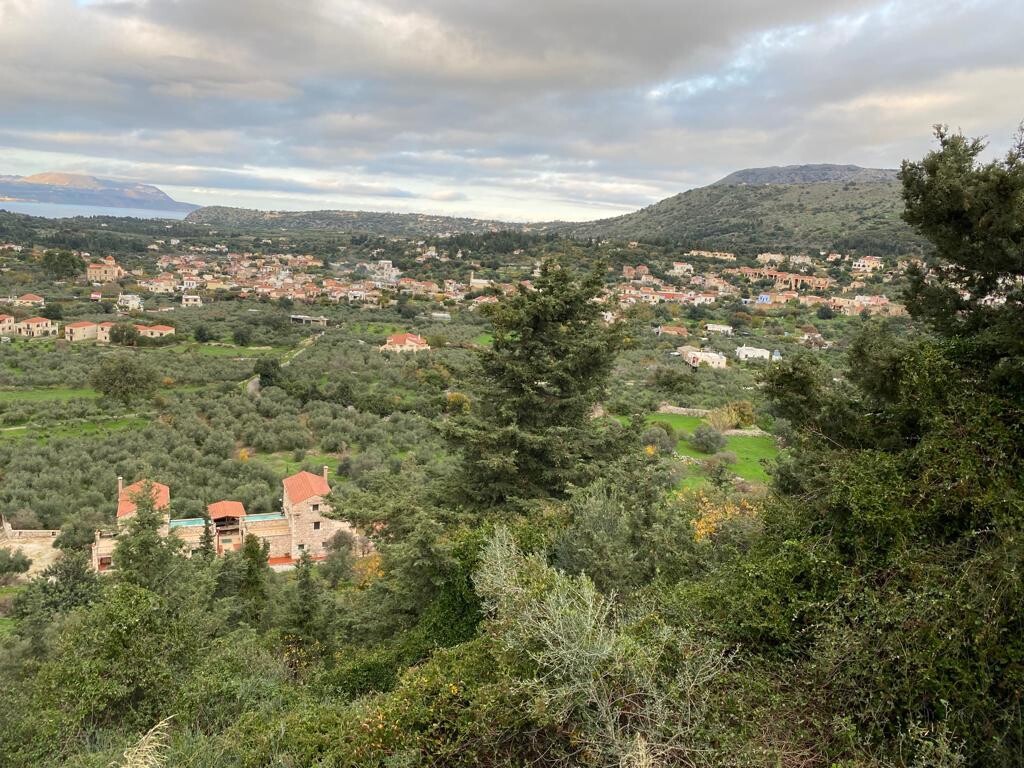 Οικόπεδο 8.000 τ.μ. προς πώληση, Γαβαλοχώρι